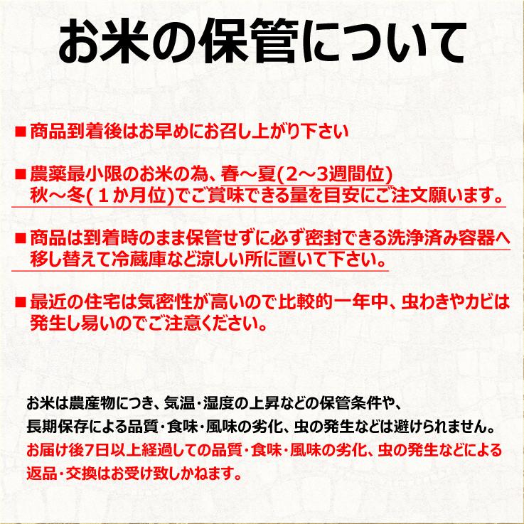 新米 ミルキークイーン 玄米 2kg 令和5年産 千葉県産 再調整済み お米 2キロ 内のし対応 贈り物