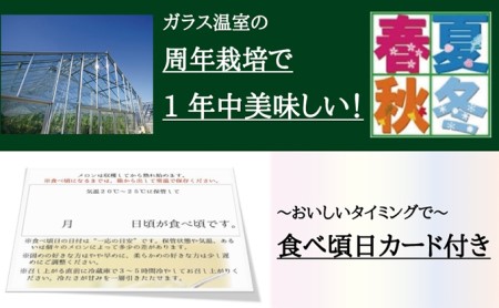 クラウンメロン 白等級 中玉 2玉入 メロン 人気 厳選 ギフト 贈り物 デザート グルメ フルーツ 果物 袋井市