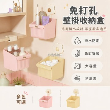 台灣出貨✨ 塑料掛鉤式 背貼可拆卸 鏡櫃專用收納盒 適用1.7cm板 即掛即用 移動靈活 衛浴置物架