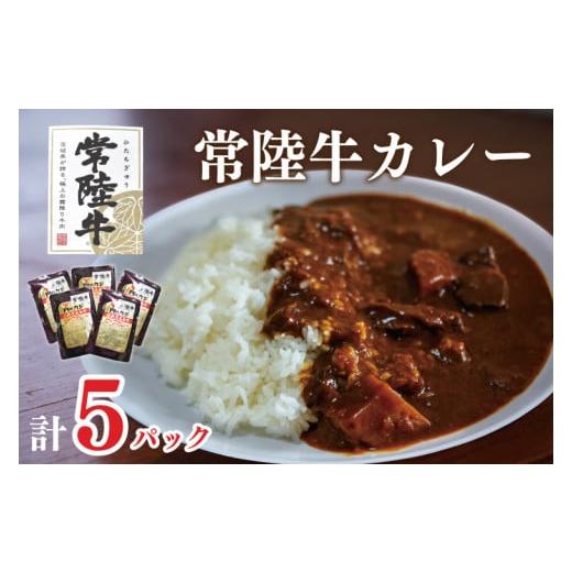 ふるさと納税 茨城県 行方市 DT-43カレー５袋