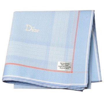Christian DIOR 素雅條紋邊字母LOGO刺繡圖騰帕巾(淺藍色系/44CM)