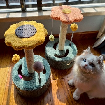 小型貓爬架一體貓架子貓咪貓窩貓抓板貓樹貓抓柱幼貓玩具寵物用品