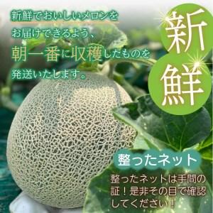 ふるさと納税 北海道産 有機栽培赤肉街道メロン 約8kg(5〜6玉)( 果物 くだもの フルーツ デザート 果実 赤肉 8.. 北海道北見市