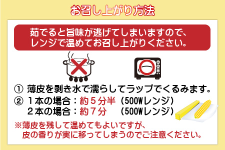 朝採り スイートコーン 黄色 計10本 おおもの ／ ハウス栽培 低農薬 有機肥料 フルーツ並みの甘さ 甘い とうもろこし 野菜 あわら ※2024年10月上旬より順次発送