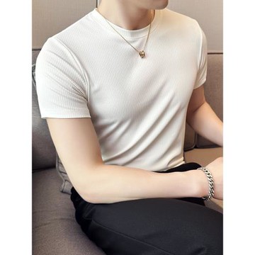 冰絲短袖t恤男夏季薄款休閑圓領高級感修身彈力舒適百搭打底體恤