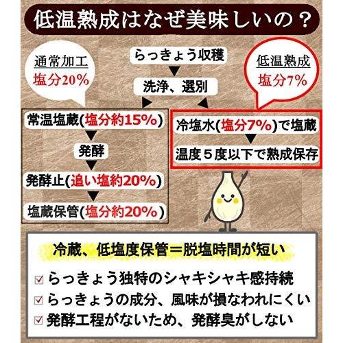 天長食品 らっきょう漬け 190gX2袋 鳥取砂丘 無添加 国産 低温熟成