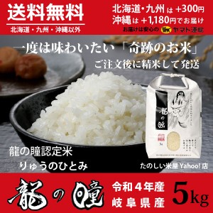 新米 龍の瞳 5kg　岐阜県産 令和5年産米　白米　ご注文後に精米・発送 送料無料（一部地域除く）