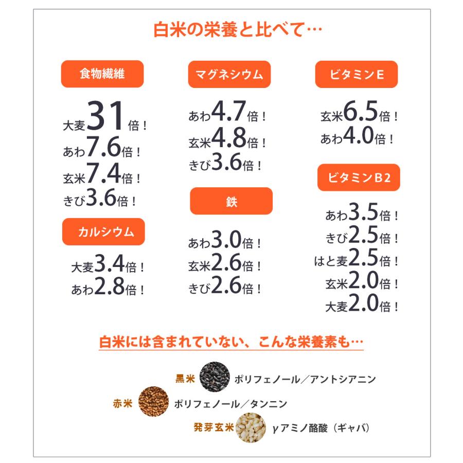 九州十穀米と藻塩の健康ごはんセット 九州十穀米 九州産藻塩  