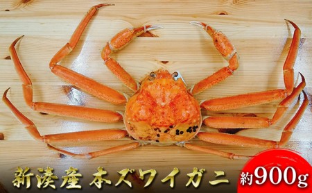 [特選]新湊産本ズワイガニ約900g