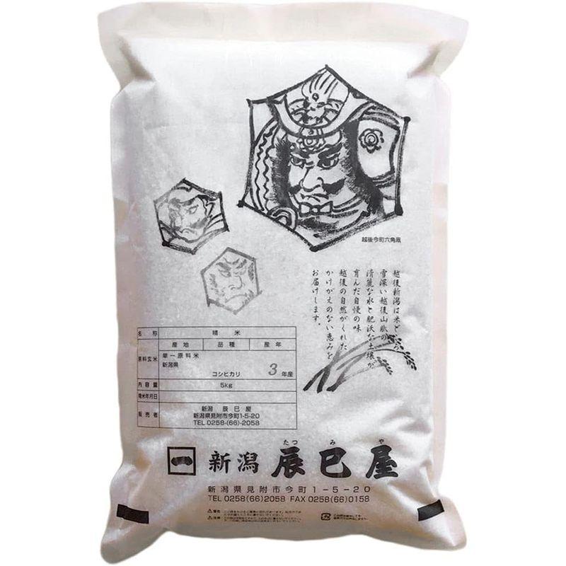 精米令和4年産 新潟県産コシヒカリ 白米 10kg（5kg×2袋）新潟辰巳屋