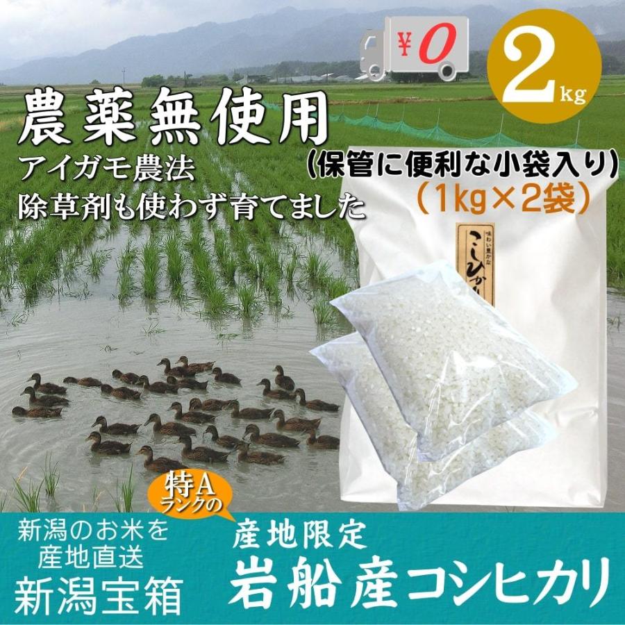 農薬無使用 米 新潟県岩船産コシヒカリ 1kg×2袋 2kg お米 白米 特A 送料無料