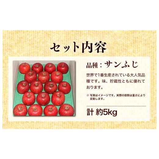 ふるさと納税 岩手県 盛岡市 ふじむら農園の盛岡りんご『サンふじ』約5kg（ご家庭用）