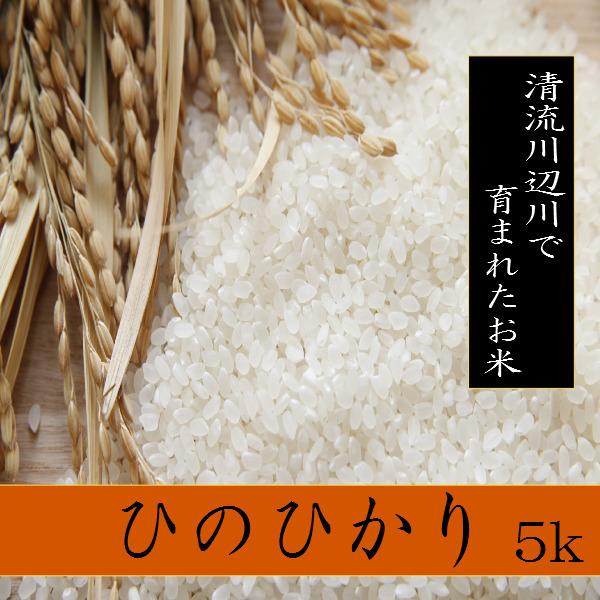 令和5年産新米ヒノヒカリ 5kg 熊本県産 　精白米