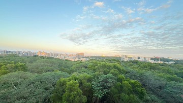 優質推薦櫻花旭近龍科4房車｜桃園市楊梅區金溪路