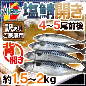 ノルウェー ”塩鯖開き” 訳あり 4～5尾前後 約1.5～2kg 背開き 塩サバ 送料無料