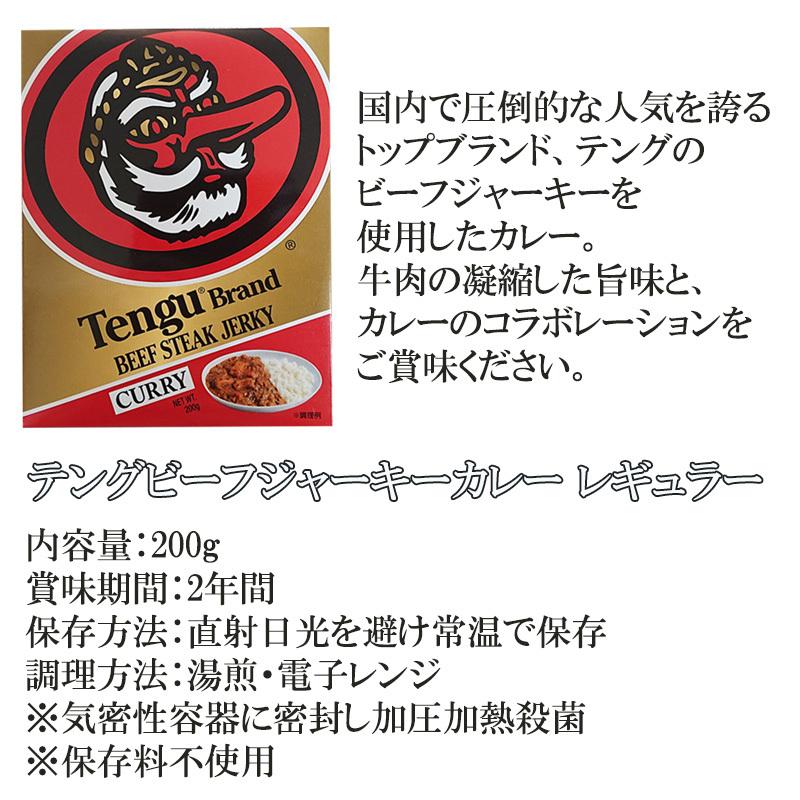 テングビーフジャーキーカレー レギュラー 中辛 200g レトルトカレー 天狗 電子レンジ対応