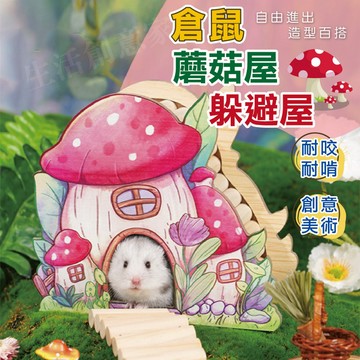 【實體店面現貨】倉鼠蘑菇躲避屋 創意躲避屋 四季通用 木質多功能造景窩 倉鼠拱橋小房子 蘑菇屋 童話屋 造景