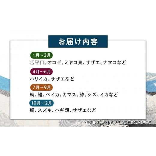 ふるさと納税 香川県 小豆島町 小豆島から直送！朝獲れ鮮魚 旬の地魚詰め合わせ 3.5kg以上