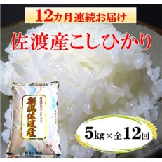 佐渡産こしひかり 5kg(精米)全12回