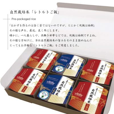 ふるさと納税 菊池市 高野さんちの自然栽培米 レトルトご飯 6個