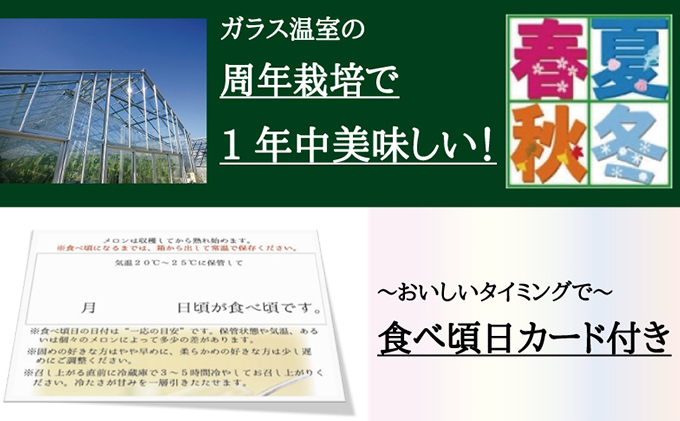 数量限定！クラウンメロン ”名人メロン” 1玉 定期便6ヶ月 桐箱入り メロン 人気 厳選 ギフト 贈り物 デザート グルメ フルーツ 果物 袋井市