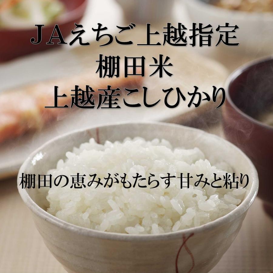 新米 米 お米 5kg 新潟 上越産 こしひかり コシヒカリ 棚田米 本州送料無料 令和5年産