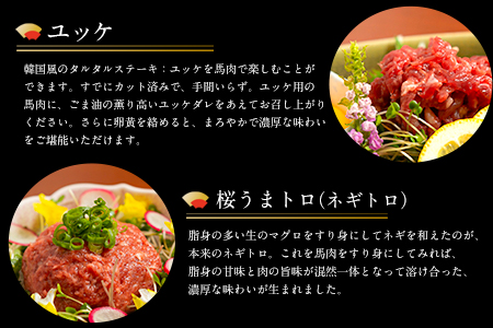 厳選プレミアム 馬刺し セット 460g 熊本 千興ファーム 馬肉 《60日以内に順次出荷(土日祝除く)》 冷凍 配送 新鮮 さばきたて 真空パック SQF ミシュラン 生食用 肉 菅乃屋 熊本県御船町 数量限定  贈答用 ギフト