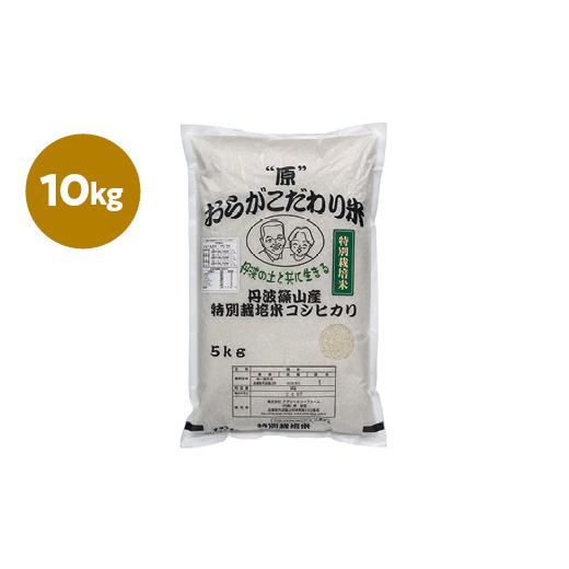 ふるさと納税 兵庫県 丹波篠山市 新米　R５年産　丹波篠山産特別栽培コシヒカリ白米10kg