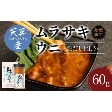 ふるさと納税 殻だし！生うに 60g『熊本県天草産ムラサキウニ』無塩 無添加 ウニ 雲丹 熊本県上天草市