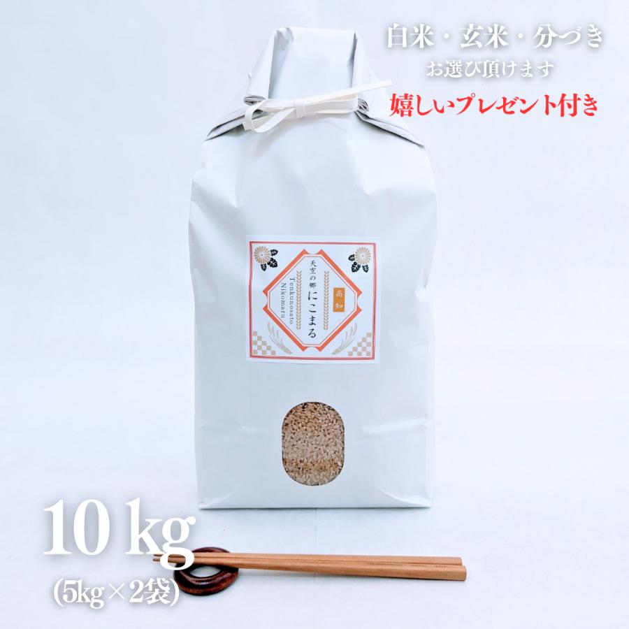 新米 お米 10kg 高知県産 天空の郷 にこまる 玄米 5kg×2袋 令和5年産