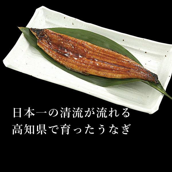 土用の丑の日　高知　国産　鰻　蒲焼　3尾セット　贈り物 ギフト 内祝 御歳暮 御中元 高知　特産品