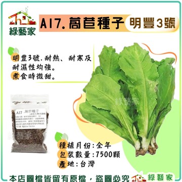 【綠藝家】A17.萵苣種子7500顆(有藥劑處理)(明豐3號.耐熱、耐寒及耐濕性均強。煮食時微甜)葉菜類