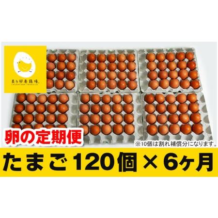 ふるさと納税 6ヵ月連続お届け　美ら卵養鶏場の卵　各月120個 沖縄県南風原町