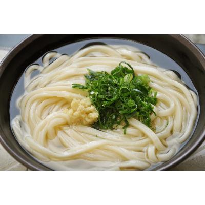 ふるさと納税 まんのう町 の半生うどん(かけうどん)12食セット