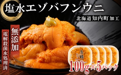 ☆知内町加工☆塩水エゾバフンウニ 贅沢１００g×５パックセット