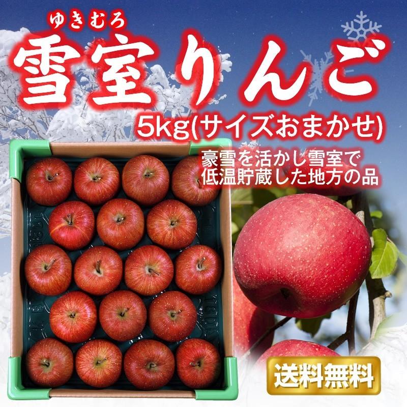 りんご 送料無料 数量限定 山形県産 雪室りんご 5kg（サイズおまかせ） お届けは2月下旬から