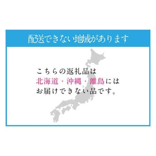 ふるさと納税 岡山県 里庄町 ぶどう 2024年 先行予約 シャイン マスカット 晴王 2房（合計約1.1kg） 晴れの国 おかやま 岡山県産 フルーツ王国 果物王国