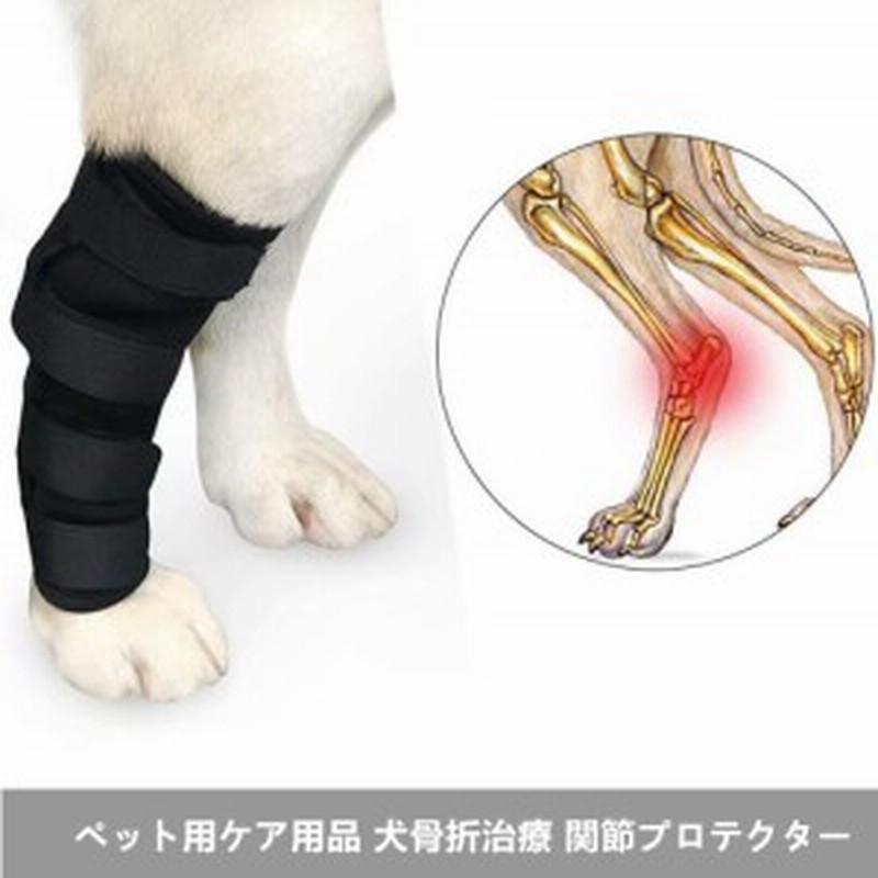 大型犬用膝サポーター 膝サポーター リハビリホック 片足 怪我防止 犬骨折治療 捻挫 筋挫傷 外科用に老犬介護 保健 I278 通販 Lineポイント最大1 0 Get Lineショッピング