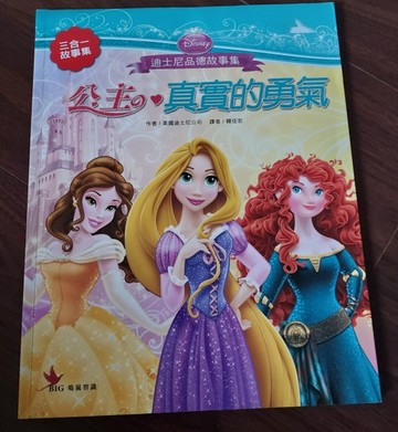 公主真實的勇氣[二手書_良好]