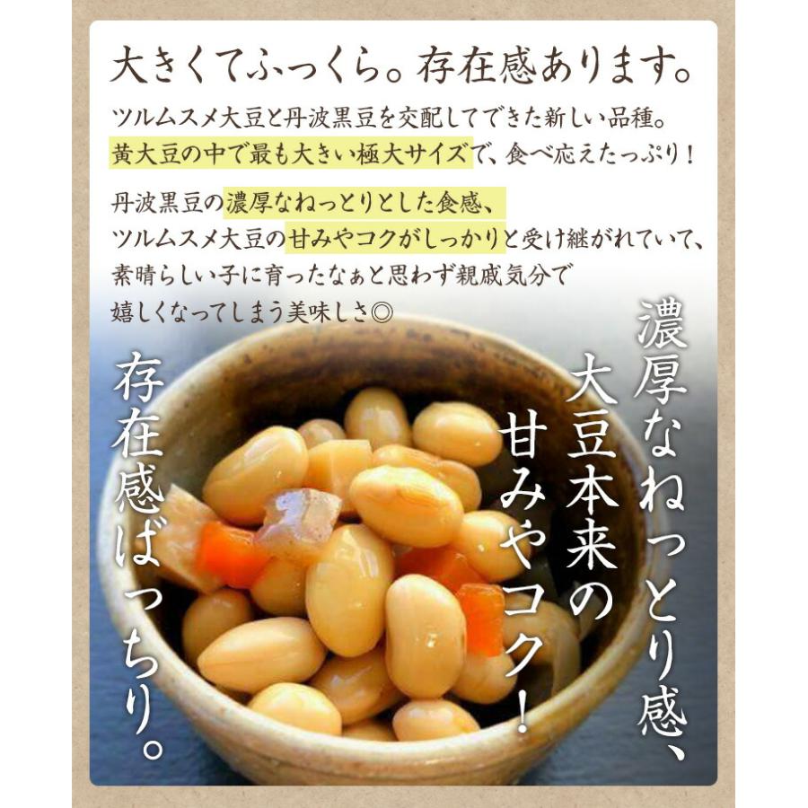 たまふくら大豆 令和3年産  たまふくら 北海道産大豆 不揃いやや粒が小さめ 希少