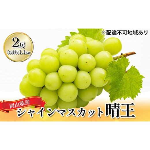 ふるさと納税 岡山県 里庄町 ぶどう 2024年 先行予約 シャイン マスカット 晴王 2房（合計約1.1kg）化粧箱入り マスカット ブドウ 葡萄  岡山県産 国産 フルー…