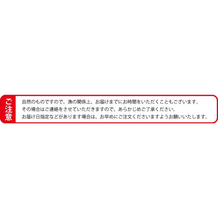 海鮮バーベキューセット 赤エビ 5尾 ホタテ 殻付き 5枚 (2-4人前) 海鮮セット 海鮮福袋 バーベキュー BBQ プレゼント ギフト 海鮮鍋 海鮮おせち ((冷凍))