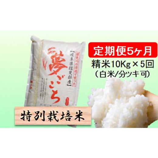 ふるさと納税 岐阜県 池田町 令和５年産　特別栽培米★[定期便] 5カ月★毎月 精米10kg（白米／5分／7分ツキ可）  玄米は別に出品 [No.5644-1157]