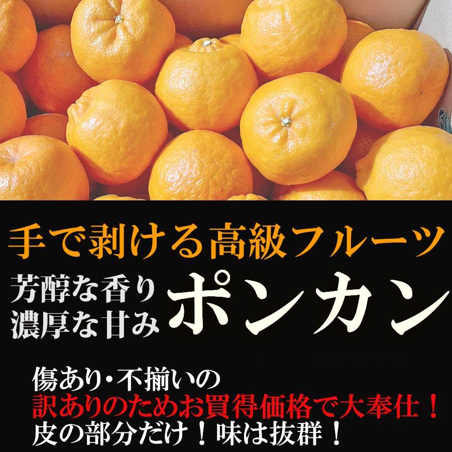  みかん ポンカン 2kg 訳あり 大特価 ブランド 和歌山県産 産直 オレンジ フルーツ 果物