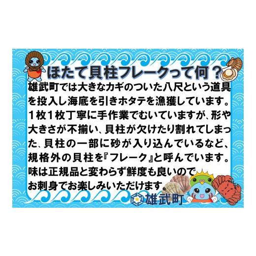 ふるさと納税 北海道 雄武町 北海道雄武町産ホタテ貝柱２ｋｇ訳アリ小分けAフレーク（500g×４）