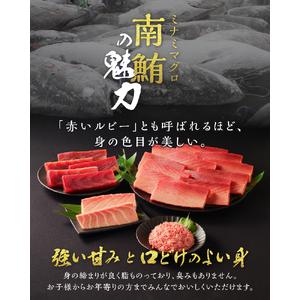 ふるさと納税 b10-072　天然本まぐろ 南まぐろ食べ比べセット 4回隔月でお届け 静岡県焼津市