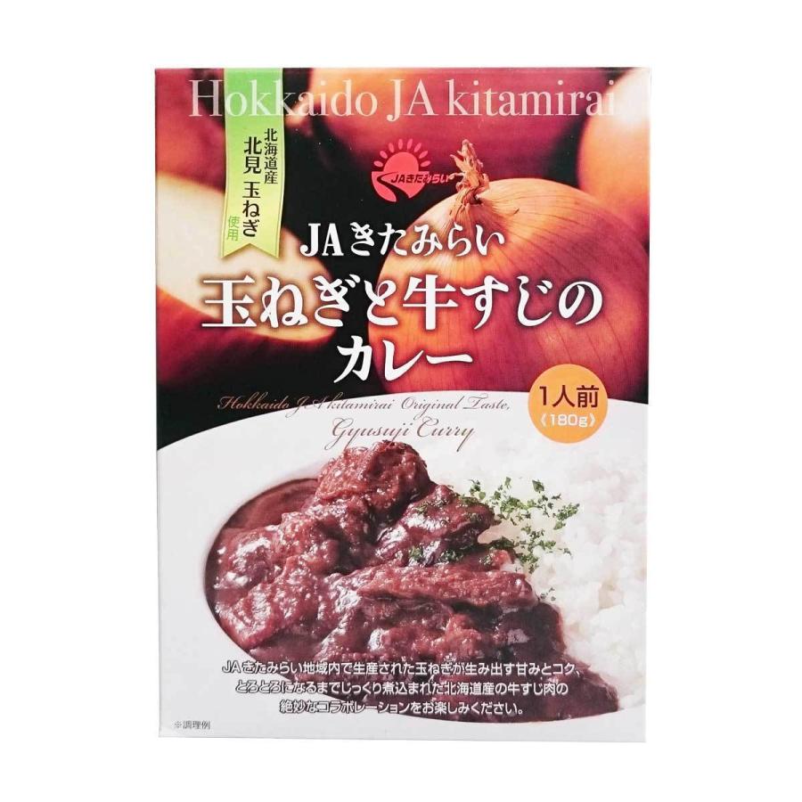 玉ねぎと牛すじのカレー　10個　（180g×10個）　レトルトパック　JAきたみらい