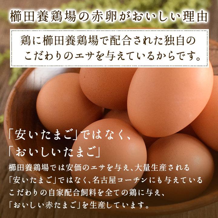 卵 お試し たまご 養鶏場直送 おひとり様1回限り 三種食べ比べお試しセット 合計18個入り（名古屋コーチンの卵6個＋くしたま赤卵6個＋くしたま白卵6個）