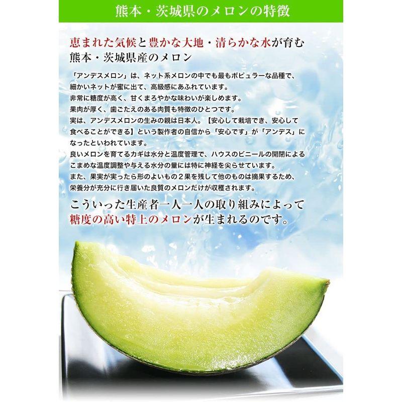 メロン アンデスメロン 秀品 1玉 1kg 熊本産或いは茨城産 2Lサイズ 甘みと香り 青肉メロン 熟成度高い 完熟フルーツ 母の日ギフトお