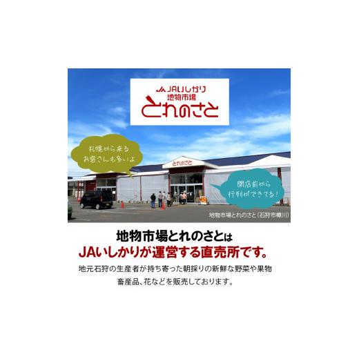 ふるさと納税 北海道 石狩市 140002 石狩米ななつぼし無洗米 5kg